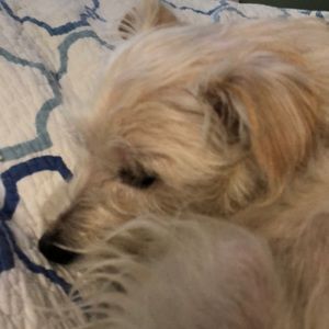 Meet your Posher, Marcella